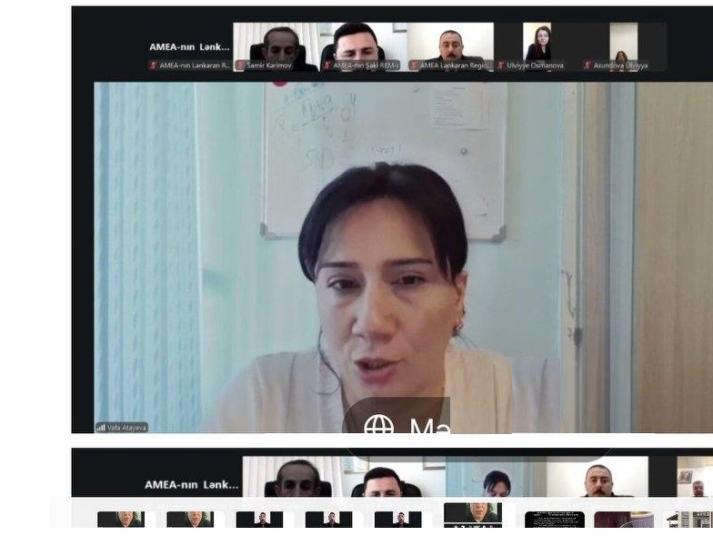 An online scientific seminar dedicated to Science Day was held