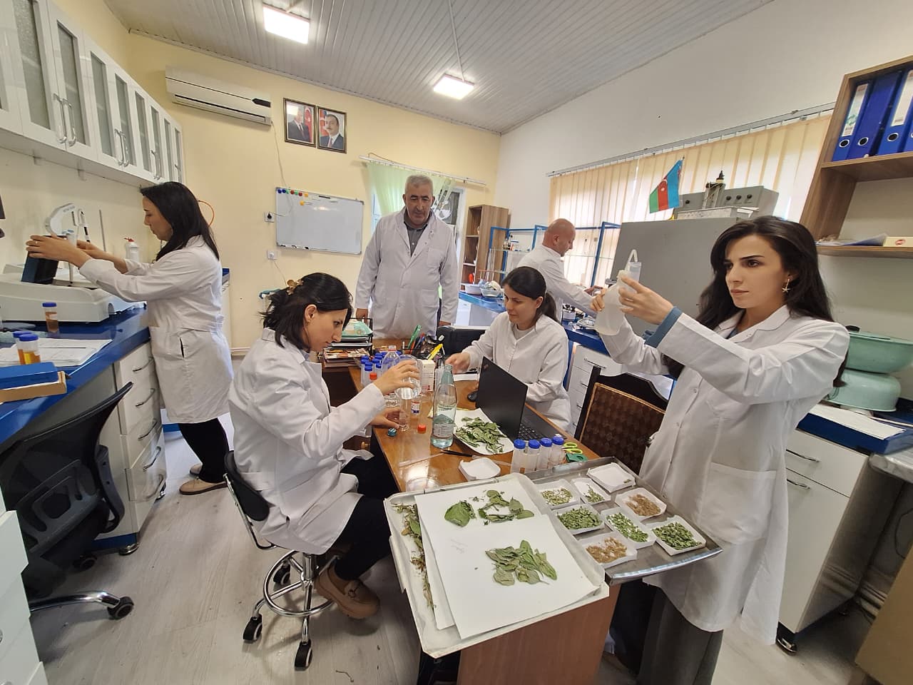 Şəki Regional Elmi Mərkəzi əməkdaşlarının müştərək məqaləsi SCOPUS indeksli jurnalda dərc edilib