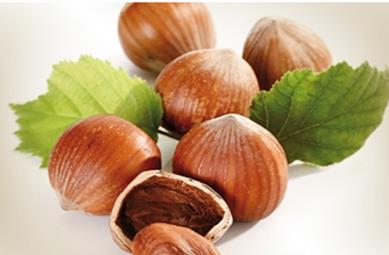 The employees of SRSC obtained bioextract  from hazelnut shell