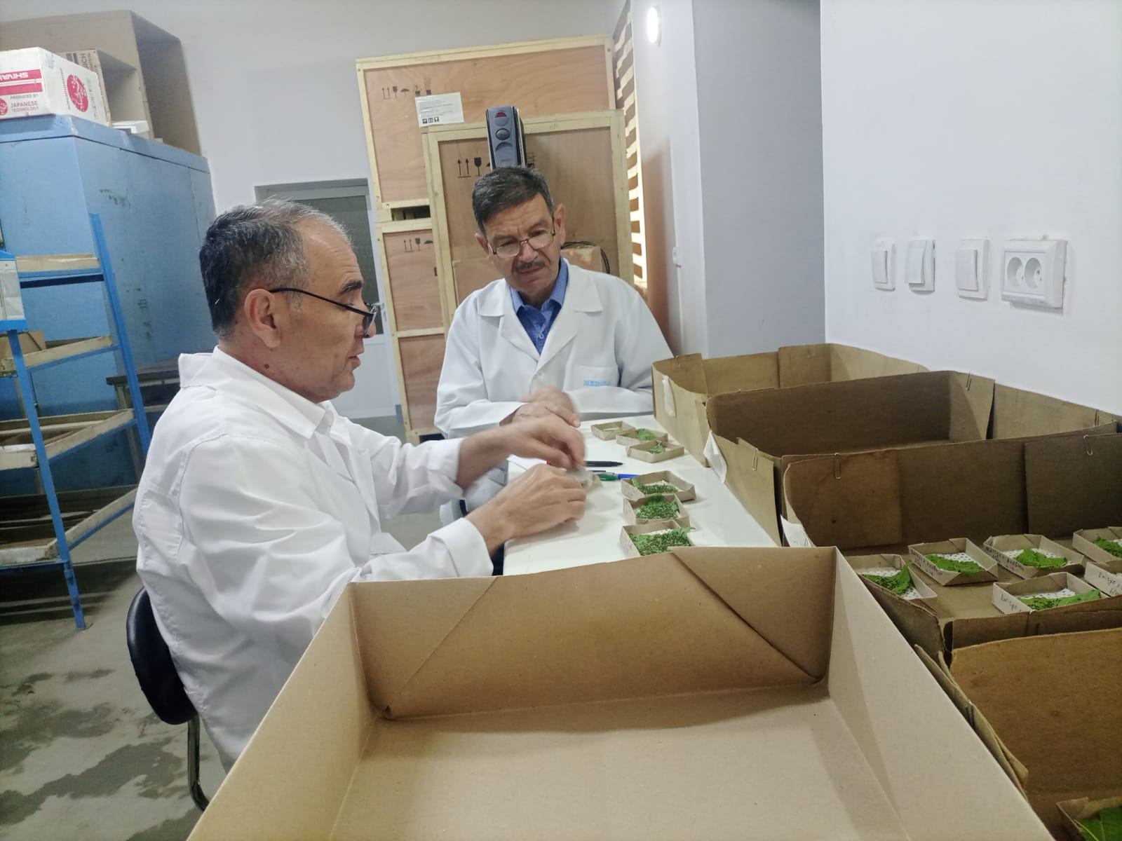 Head of “Mulberry silkworm” department of ANAS, Sheki RSC, PhD on biology, docent Guduret Bekirov were in a scientific mission in the Institute of Sericulture in Uzbekistan, Tashkent on April 9-15