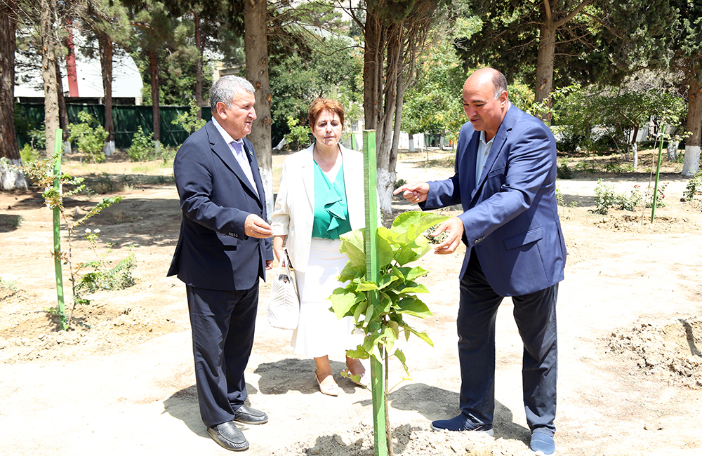 AMEA prezidenti Akademiyada Ulu Öndərin xatirəsinə salınmış Nadir ağaclar parkına baxış keçirib